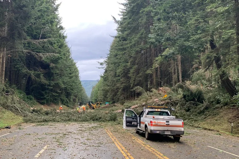 Una ola de ciclones en California dejó seis muertos y a más de medio millón de hogares sin electricidad