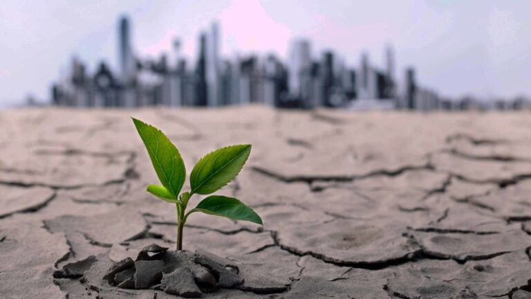 La Iglesia Católica y la lucha contra el cambio climático